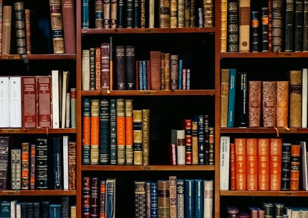assorted-title of books piled in the shelves